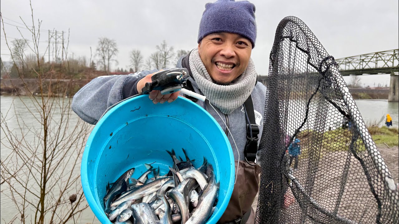 Cowlitz River Smelt Dipping 2/21/26 - Smelt fish are running!