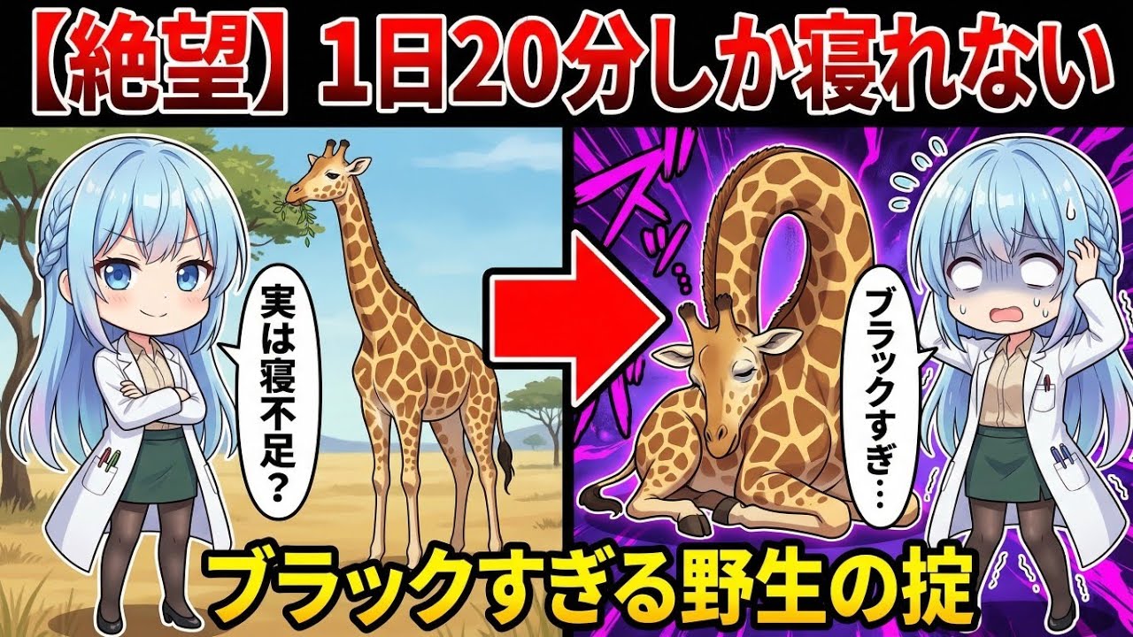 【動物雑学】首が長い理由だけじゃない！知られざるキリンの驚きの生態【キリンの秘密】