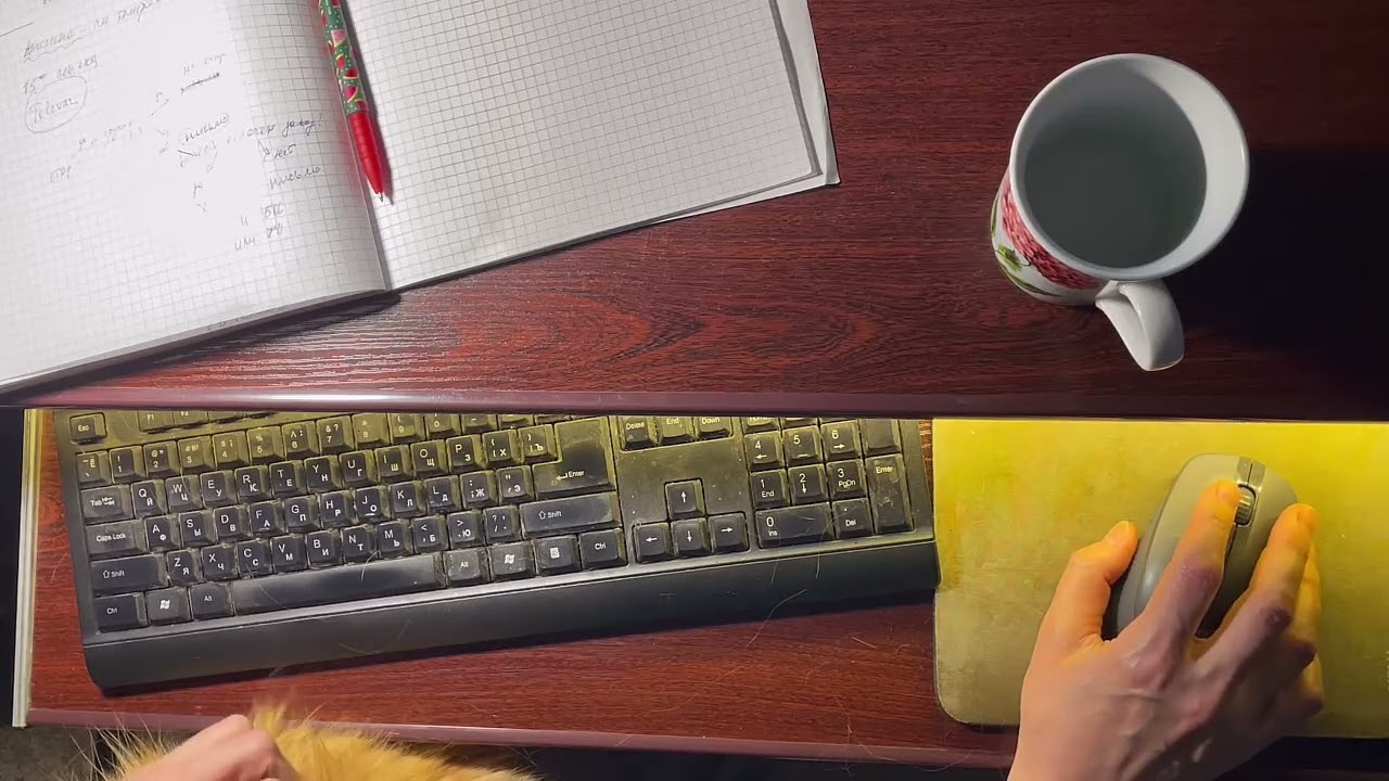Keyboard Typing with Quiet Cat Purring | Real Work Session