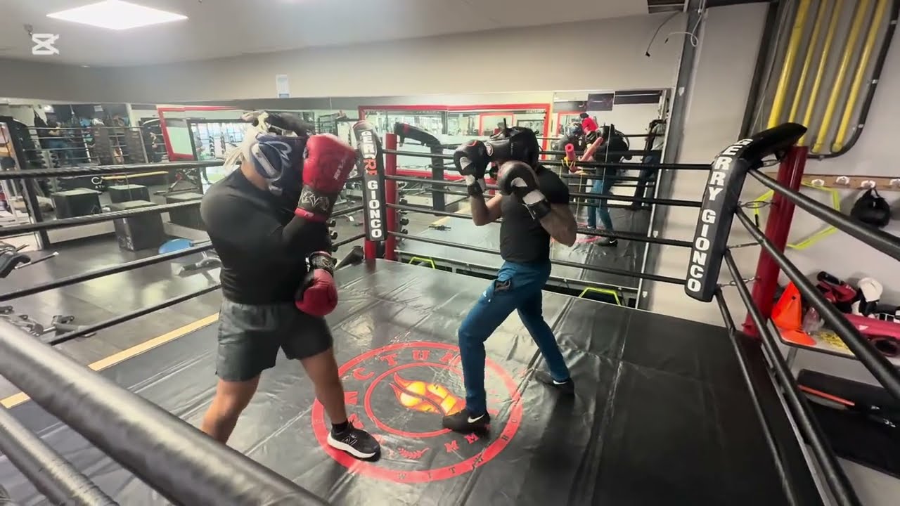 They All Wanted to Spar Me… So I Said Yes