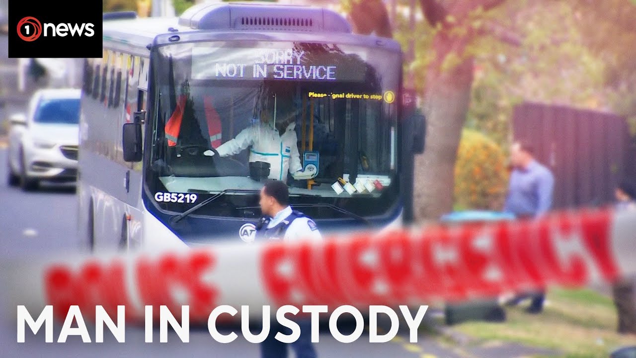 Auckland bus stabbing: Man hands himself in to police | 1News on TVNZ+