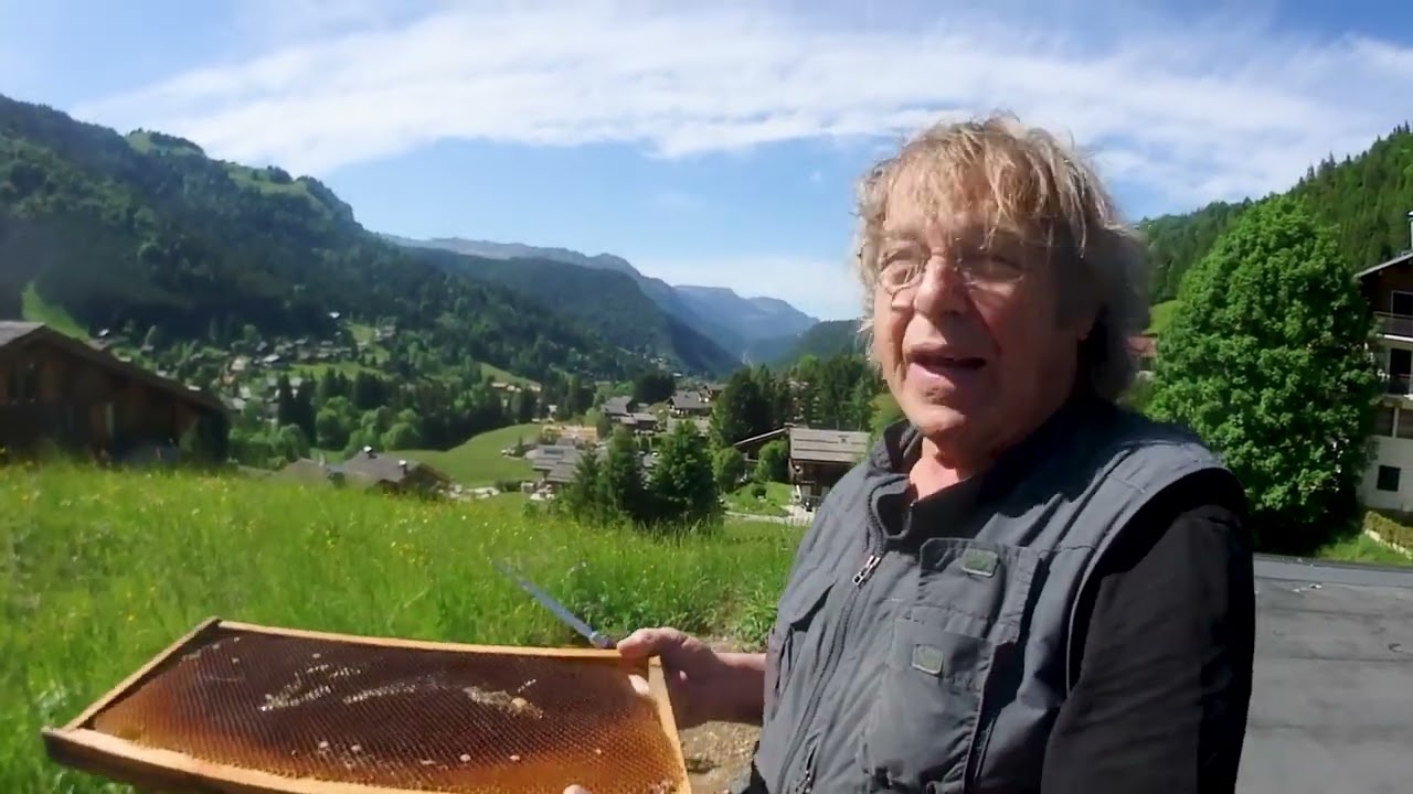 Comment préparer une ruchette pour capturer un essaim d'abeilles François Lavorel apiculteur Annecy.