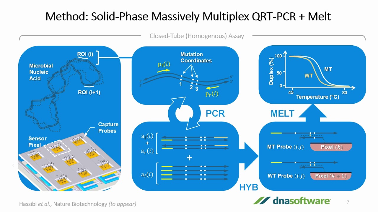 Multiplex PCR Assay Design Made Easy