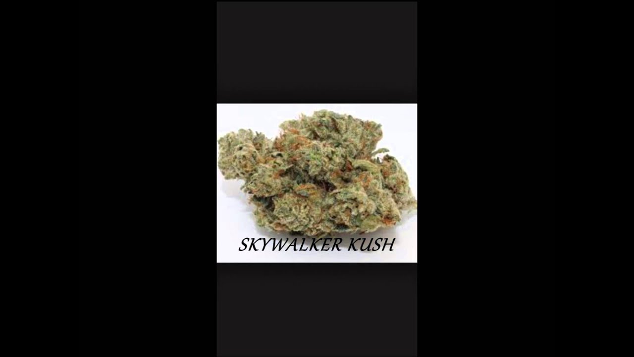 BEST CANNABIS STRAINS 2013