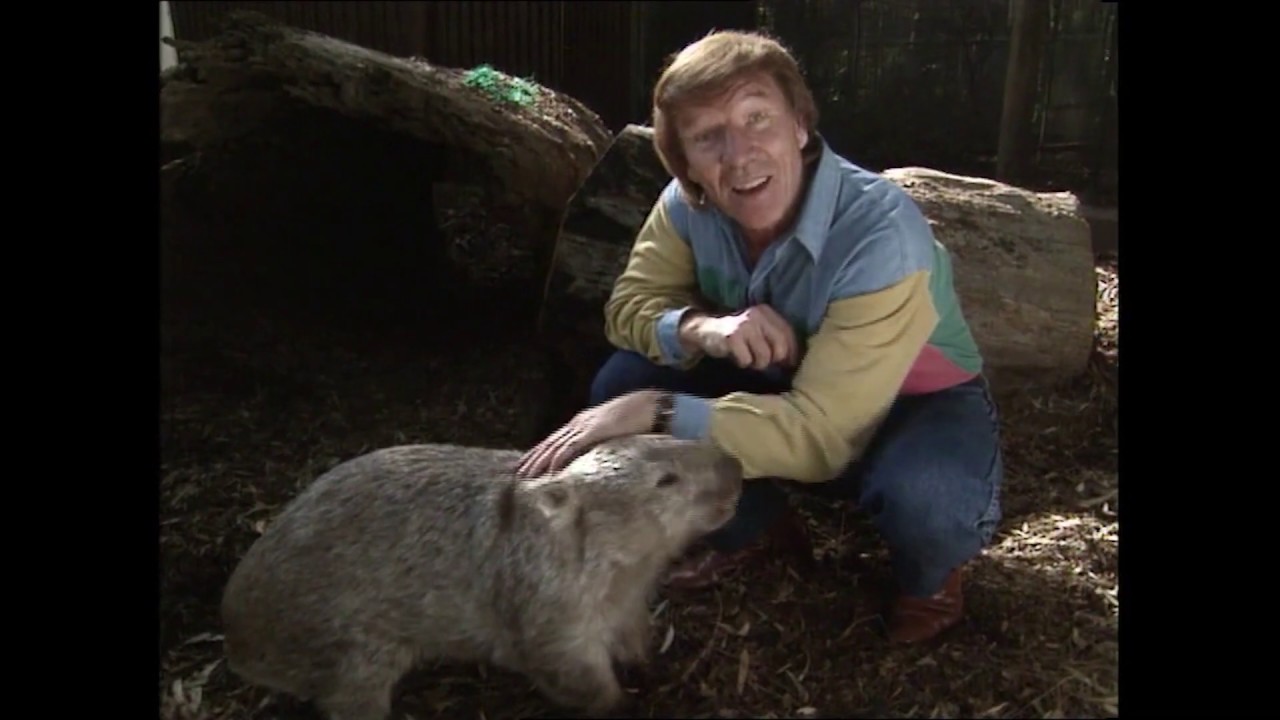 Dig, Dig, Dig Like a Wombat | Don Spencer | Music for Kids