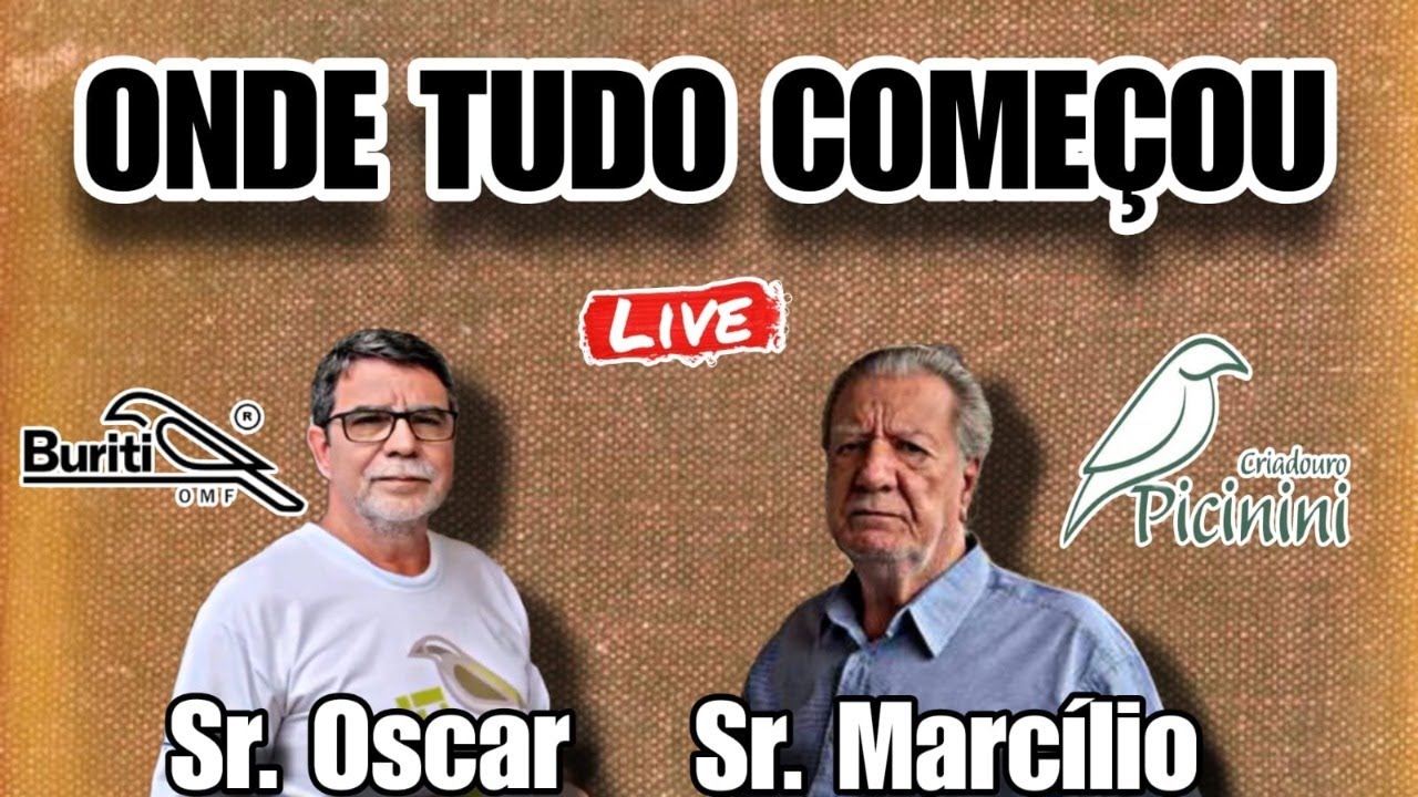 a criação em gaiolas, ONDE TUDO COMEÇOU!