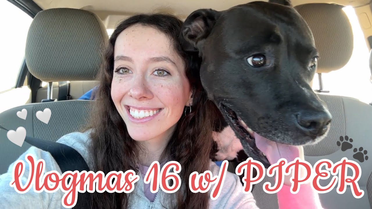 Влогмас 16 с Пайпер снова! 🎄🐾 Собака с видеоблогом ✨