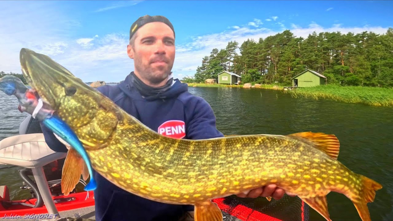Défis de pêche. Prendre un brochet métré à la 