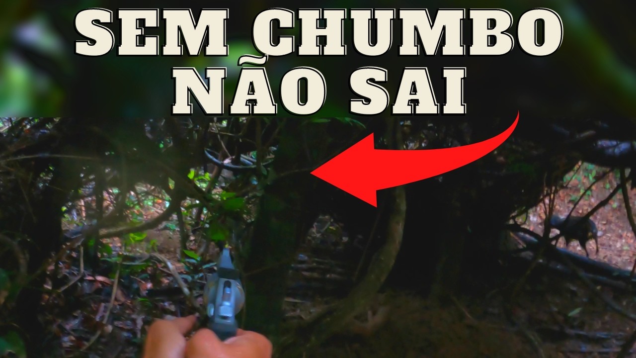 SE T&Aacute; NA CHUVA, &Eacute; PRA MOLHAR | JAVALI BRASIL | #repost