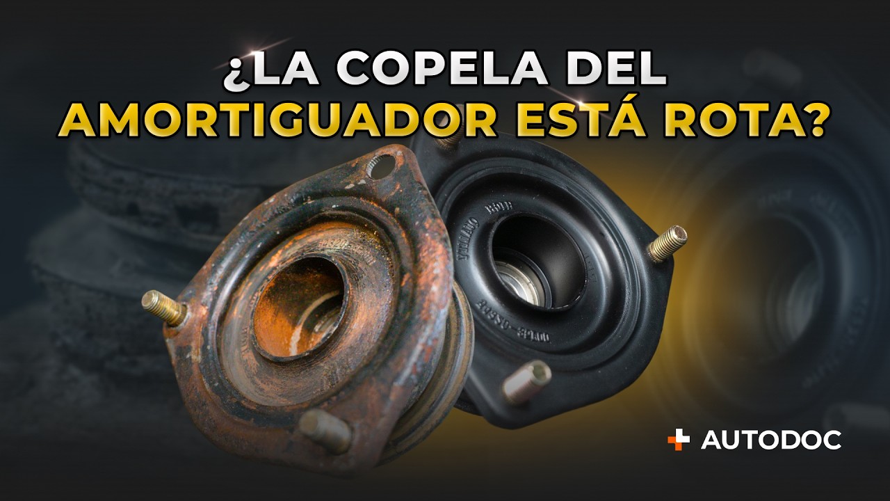 5 señales de que la copela del amortiguador está fallando (y cómo solucionarlo)