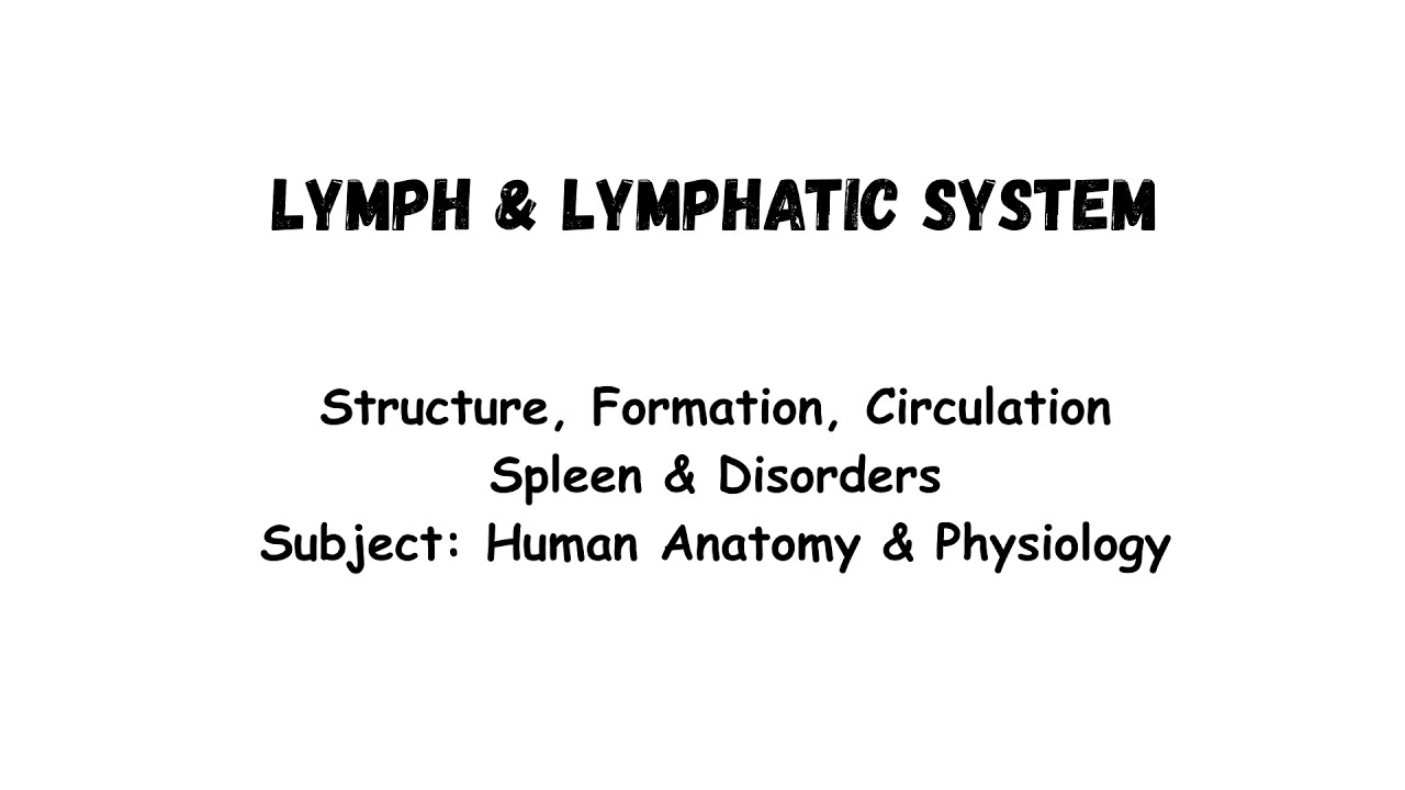 Lymph & Lymphatic System Explained  Spleen Structure & Functions  Lymphatic Disorders