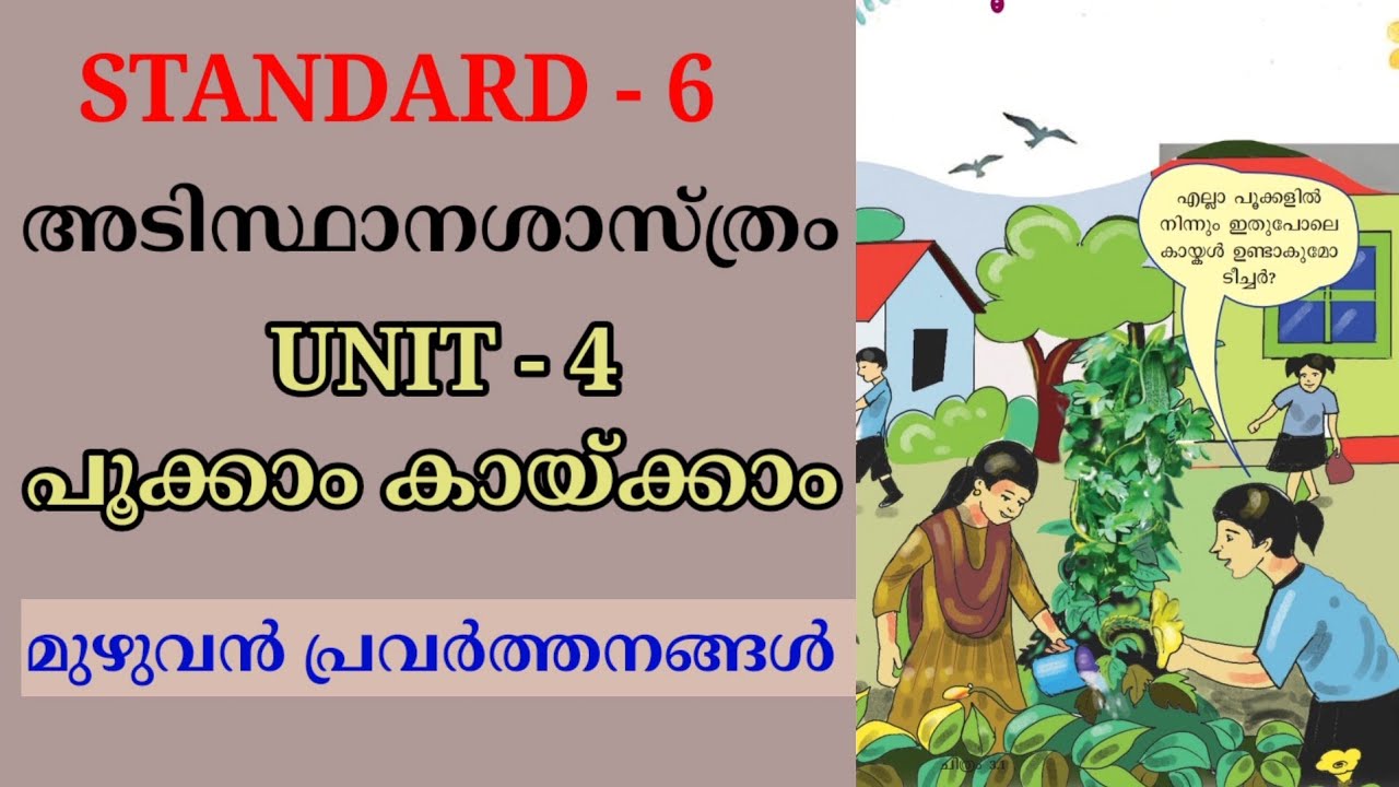പൂക്കാം കായ്ക്കാം STD 6 BASIC SCIENCE UNIT 4 | MALAYALAM MEDIUM CLASS 6 BS CHAPTER 4 POOKKAM KAYKKAM