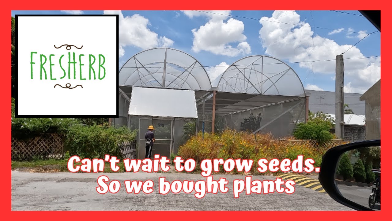 CAN'T WAIT TO GROW SEEDS SO WE BOUGHT PLANTS FROM FRESHERB