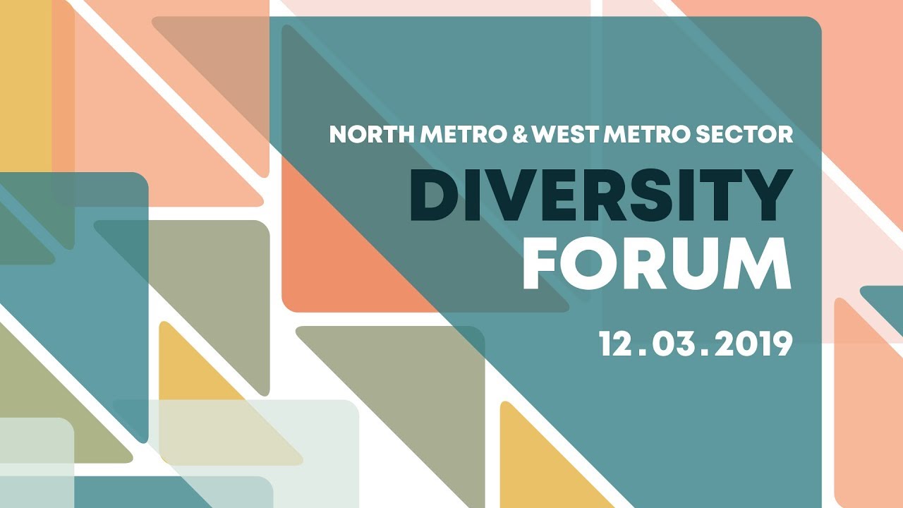 North Metro & West Metro Sector Diversity Forum March 2019 highlights