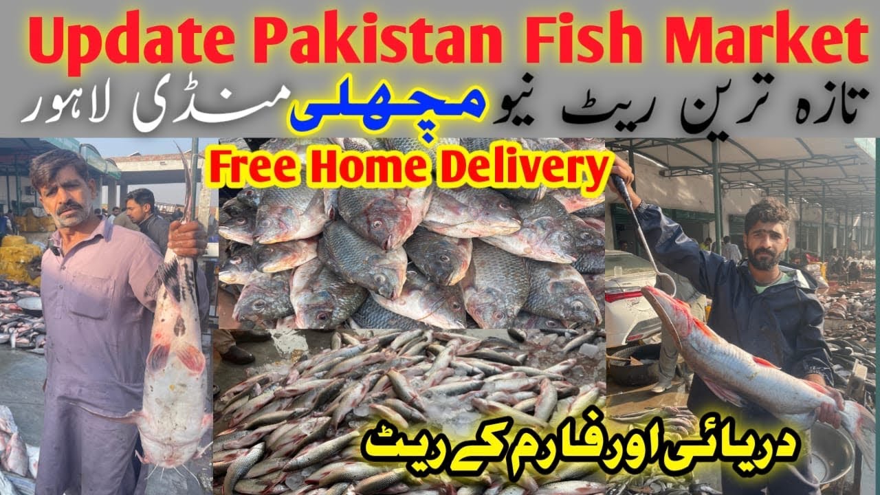 Update fish market lahore | Pakistan Fish Market | New Machli Mandi Lahore | Today new rate fish