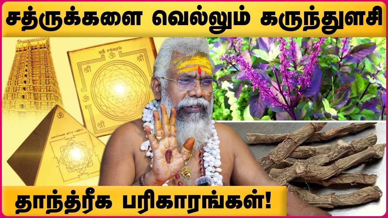karunthulasi | Ethirigalai Viratta | சத்ருக்களை (எதிரிகள்) விரட்டியடிக்கும் கருந்துளசி | Cosmo View