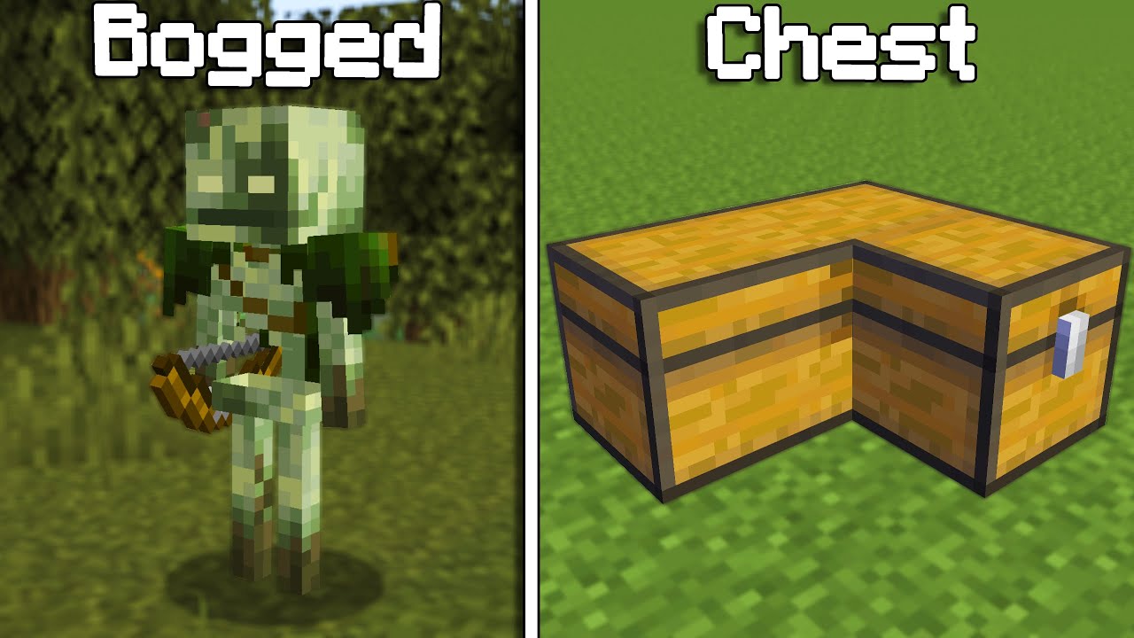 Hidden Secret Of Minecraft 1.21 (Hindi)