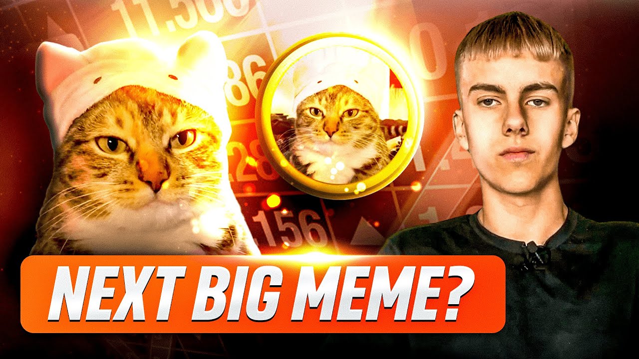 Could This Replace DogWifHat And Become THE NEXT BIG MEME?! | CATWIFHAT Review