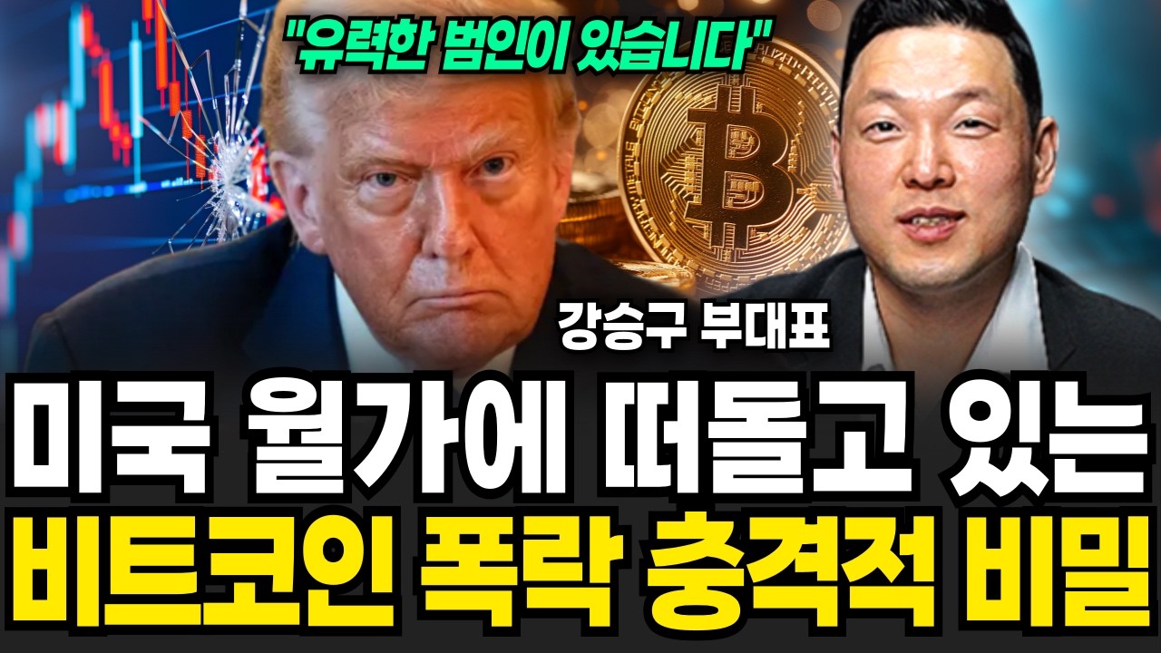 미국 월가에 떠도는 비트코인 폭락의 충격적 비밀 ( 강승구 부대표 / 4부)