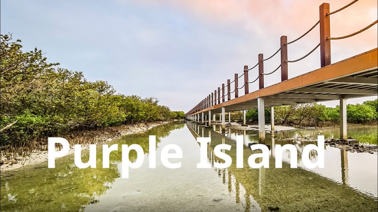 A Road Trip Purple Island | Qatar Street View