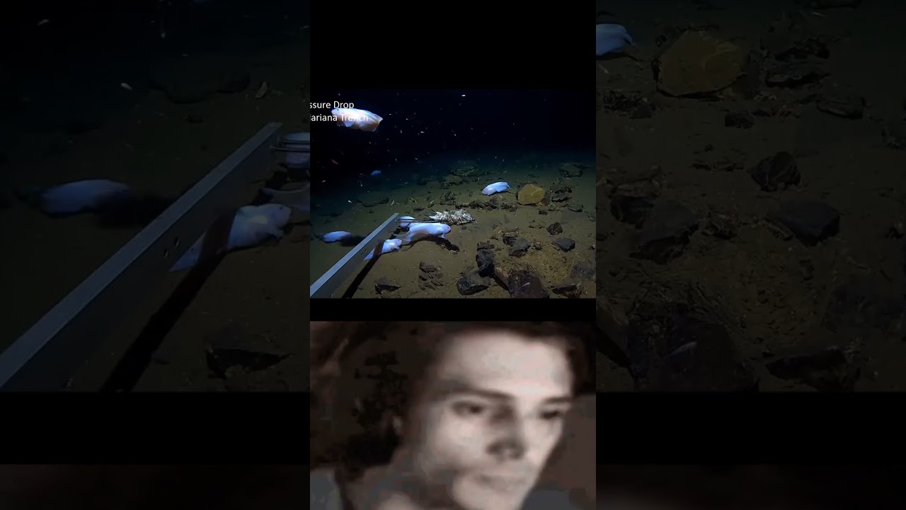 Real Footage of the Mysterious Mariana Trench