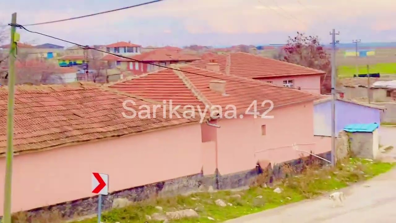 📸 Sarıkaya Köyü 🌹 Kaçko mate 🎵