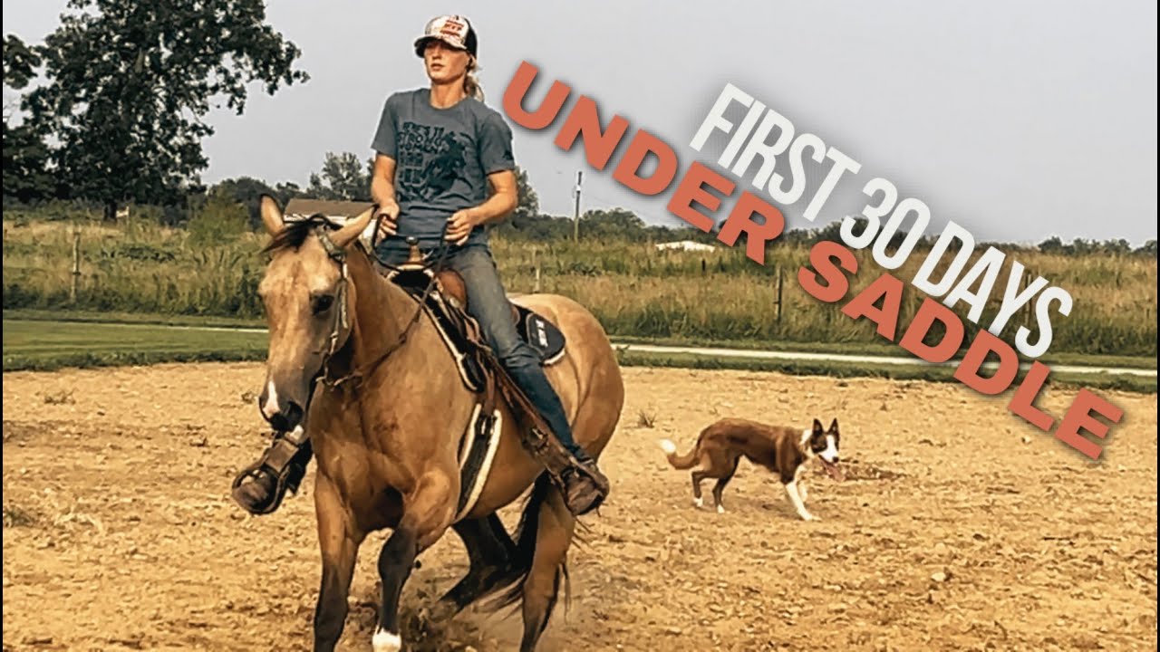 WHAT I LIKE ON A HORSE WITH 30 DAYS UNDER SADDLE (2yo Smart Pepto Nugget, aka Slick)