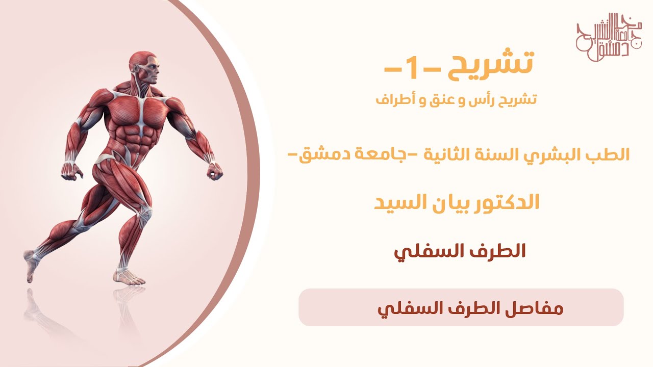 تشريح 1 | مفاصل الطرف السفلي | د.بيان السيد