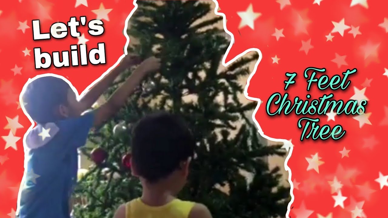 VLOGMAS #1 - Our Family Christmas Tree I Nepalipino TV