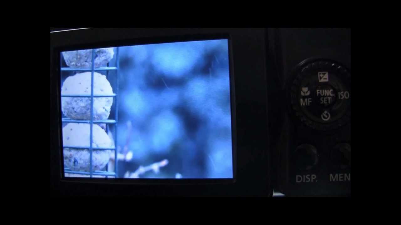 Canon Powershot SX40 HS Tutorial: Step Nineteen - A little closer to real Bokeh