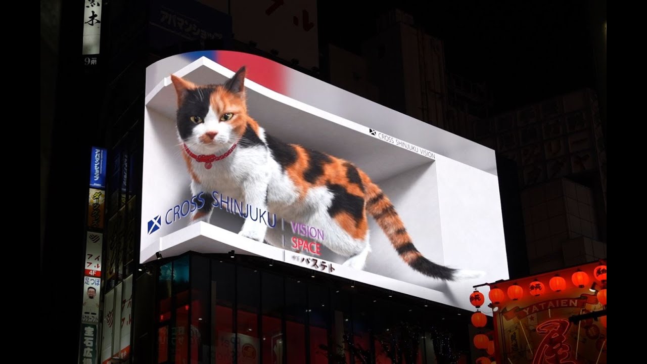 Tokyo Shinjuku 3D Billboard - CAT [HD]