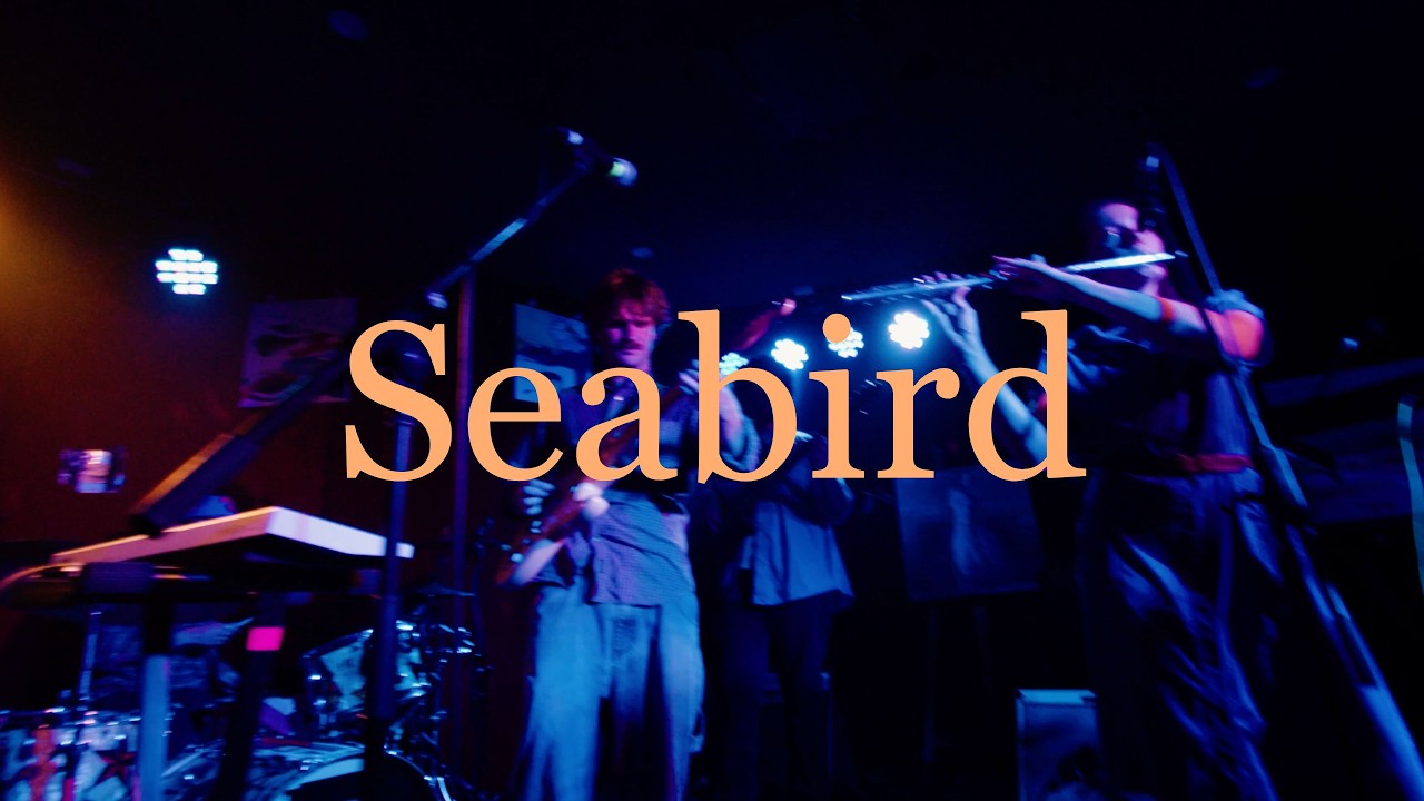 Coco Elise - Seabird (Alessi Brothers Cover) [Live at Mojo's]