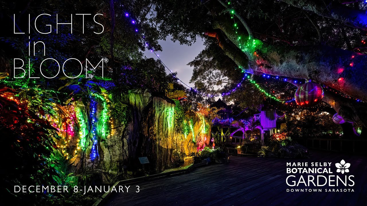 Lights in Bloom® 2023