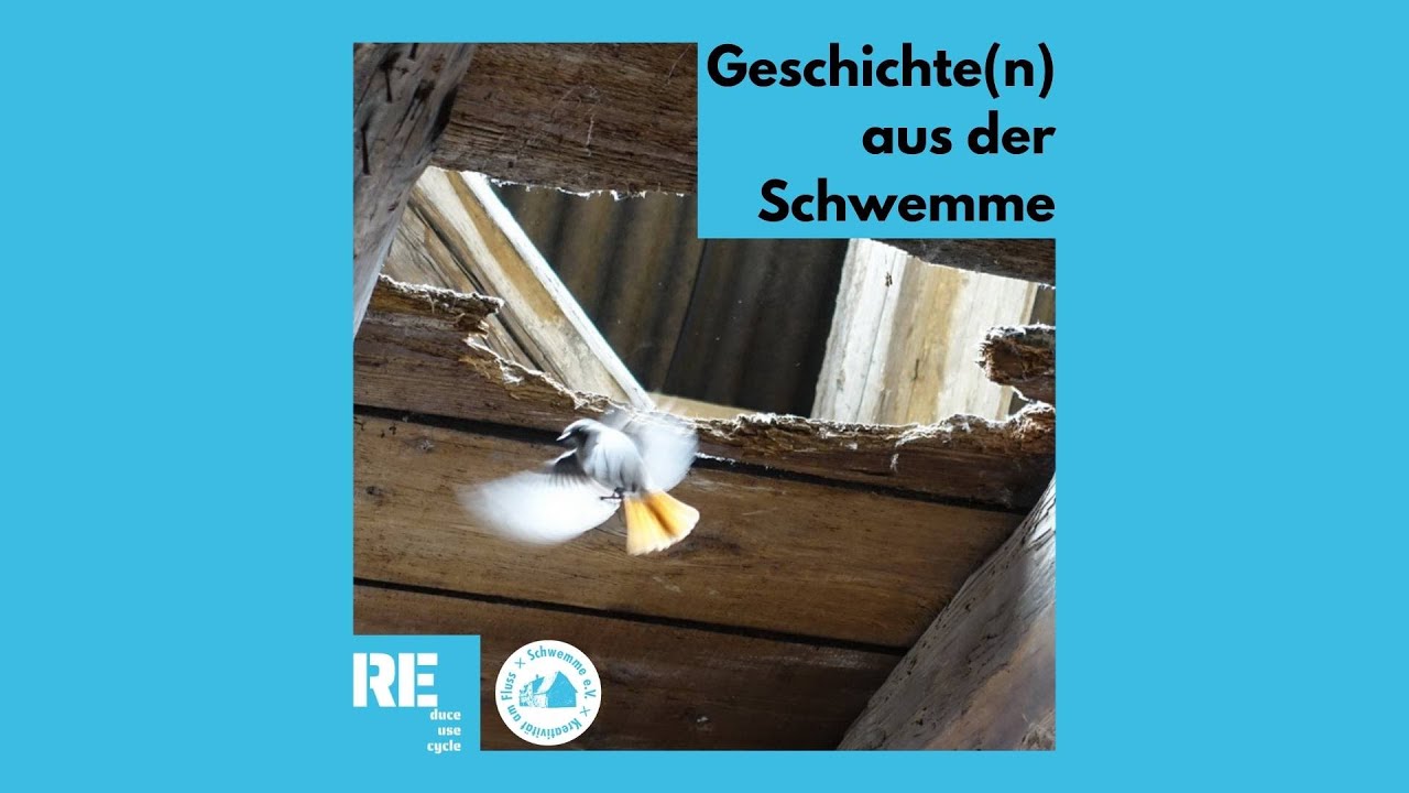 #3 Das Baugeschehen in der Schwemme &ndash; Architekt Christian Hartwig im Gespr&auml;ch