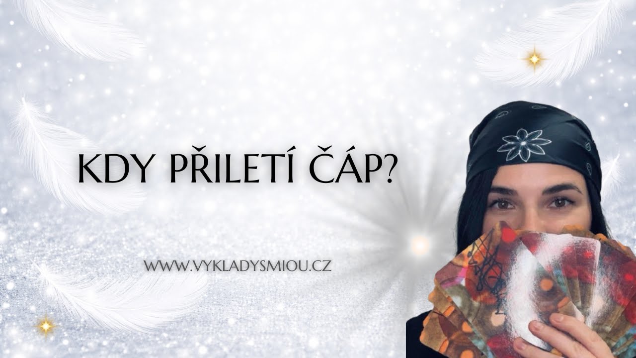 Kdy přiletí čáp? 👼🏻 kolektivní výklad, těhotenství