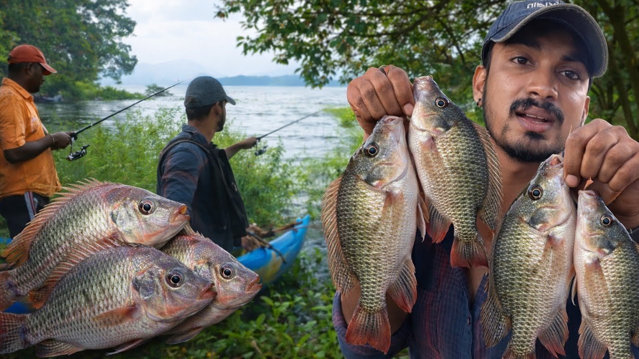 යමං👣 බාන්න මාලු 🐟 | Catching Thillapia Fishing @TravelFishing-YT 