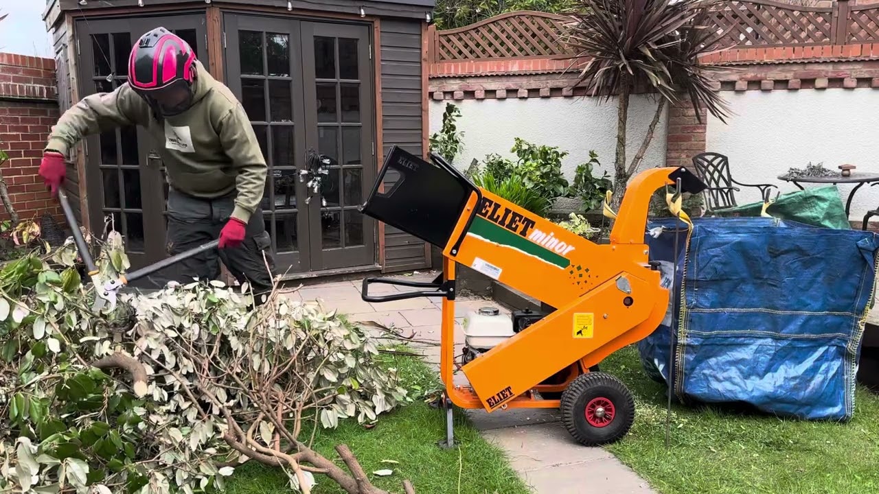 2nd chance Eliet minor 4s shredder