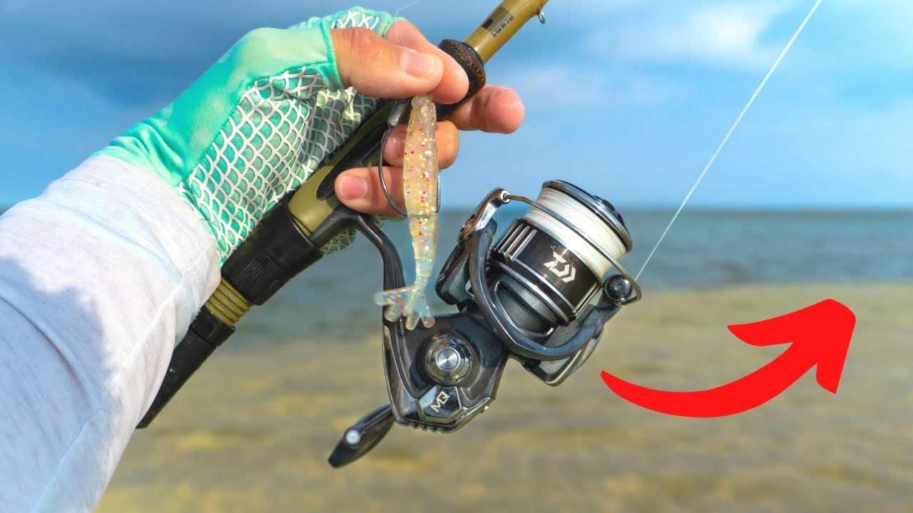 EASY Tampa Bay Wade Fishing Using Lures ONLY!