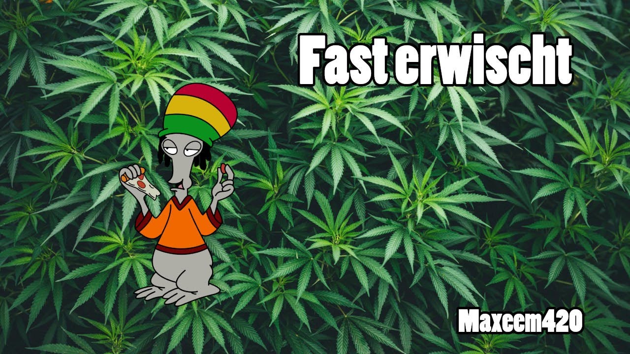 Fast erwischt! Weedstory | Maxeem420