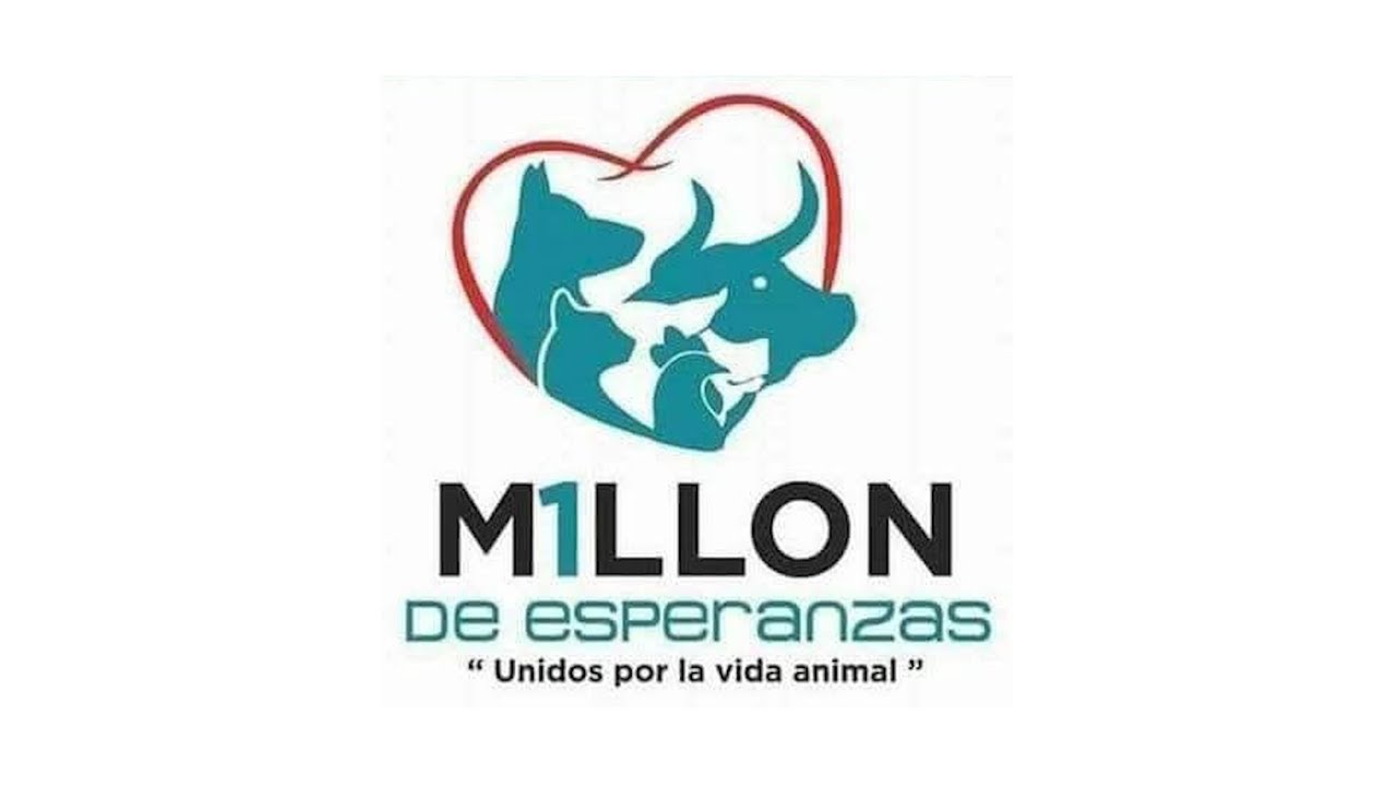 V Congreso Internacional por el Derecho de los animales