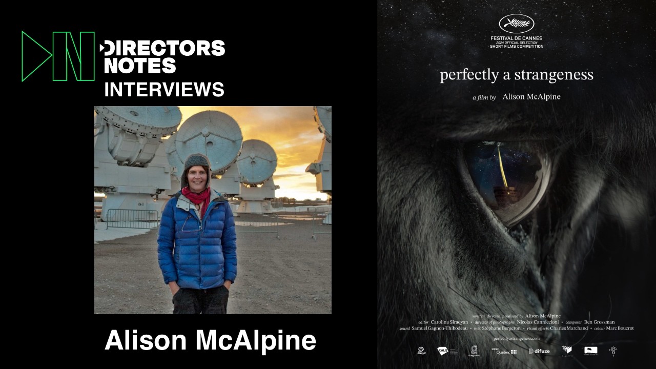 No Dialogue, No Actors: How Alison McAlpine Made an Oscar-Nominated Film with Donkeys