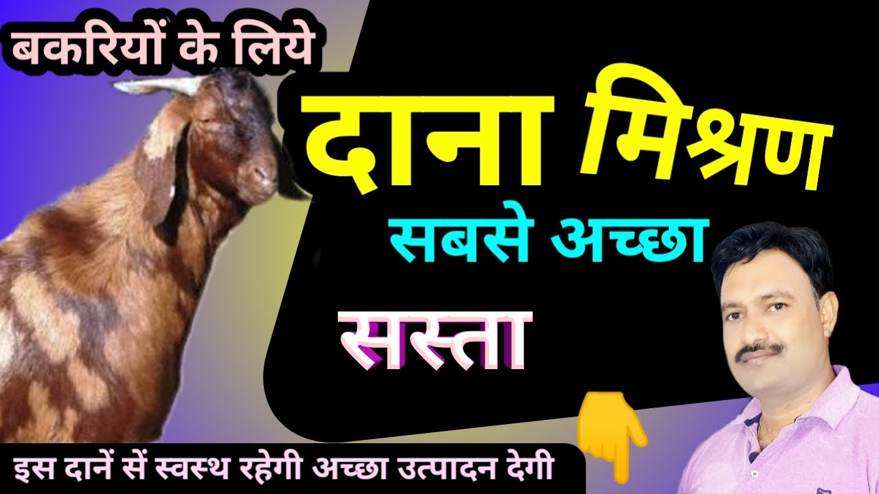bakri ka dana kaise banaye बकरी के लिए दाना मिश्रण सस्ता और सबसे अच्छा bakri ke liye feed