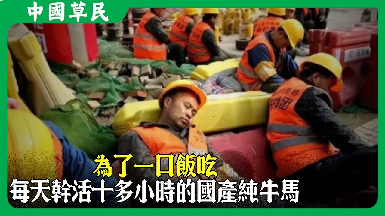 為了一口飯吃每天幹活十多小時的國產純牛馬#农民工 #韭菜 #牛马 #reaction