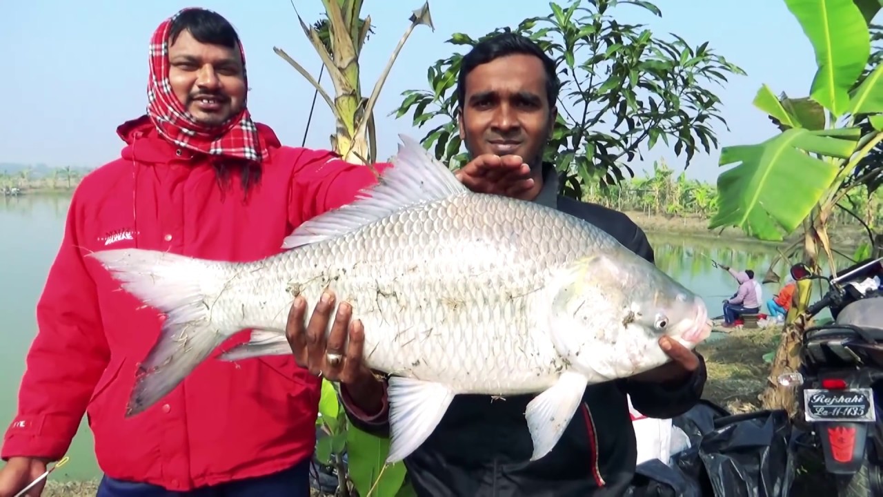 10 KG Catla Fish Hunting And Fishing By Rana