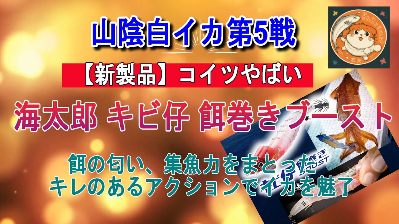 山陰白イカ第５戦新兵器キビ仔餌巻き投入コイツはヤバイ釣れる！＃イカメタル＃オモリグ