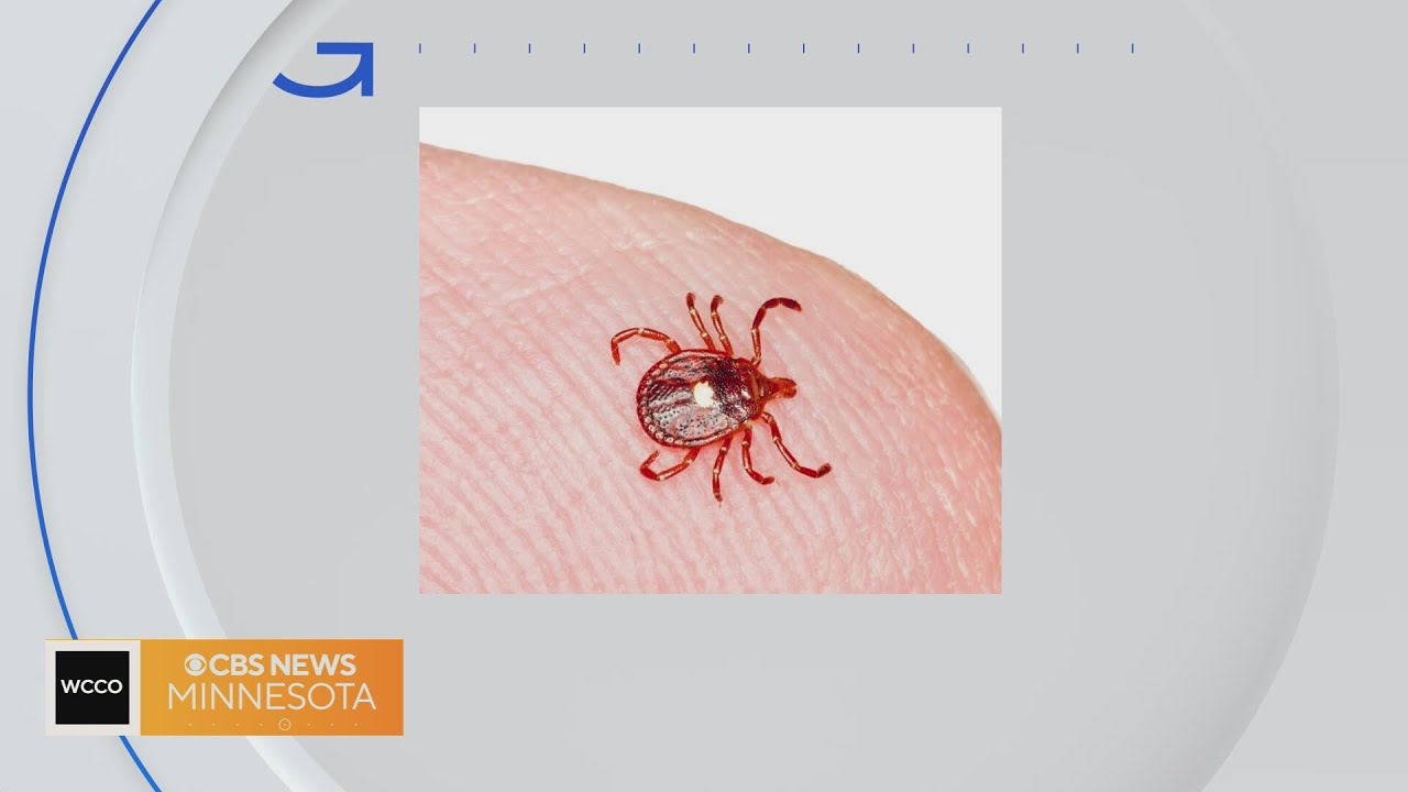 Good Question: How prevalent is the lone star tick in Minnesota?