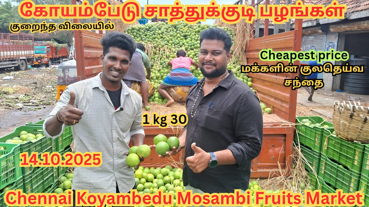 💥🍈 Koyambedu Fruit Market | Koyambedu Mosambi Market | Fruits market | Sweet Lime #trending #viral