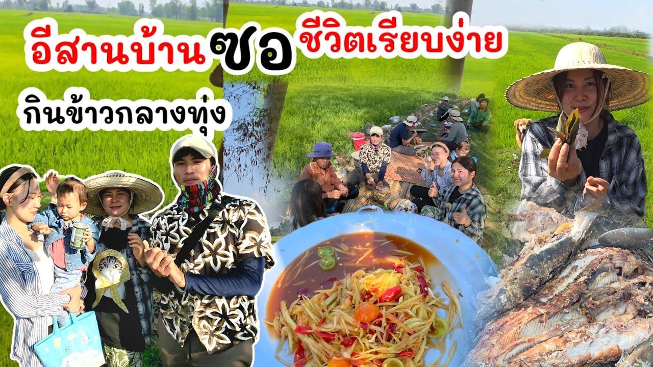 EP.154 พาพี่ซอไปกินส้มตำกับปิ้งปลาช่อนนาตัวใหญ่ๆ หลังกลับจากเกาหลี สนุกครบแก๊ง
