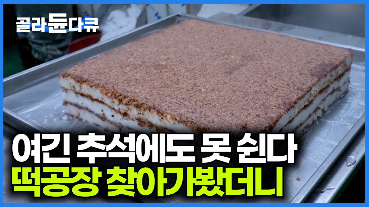 역대급 추석에 송편만 2톤 빚는다. 명절에 더 바빠지는 떡공장을 찾아가봤더니｜극한직업｜