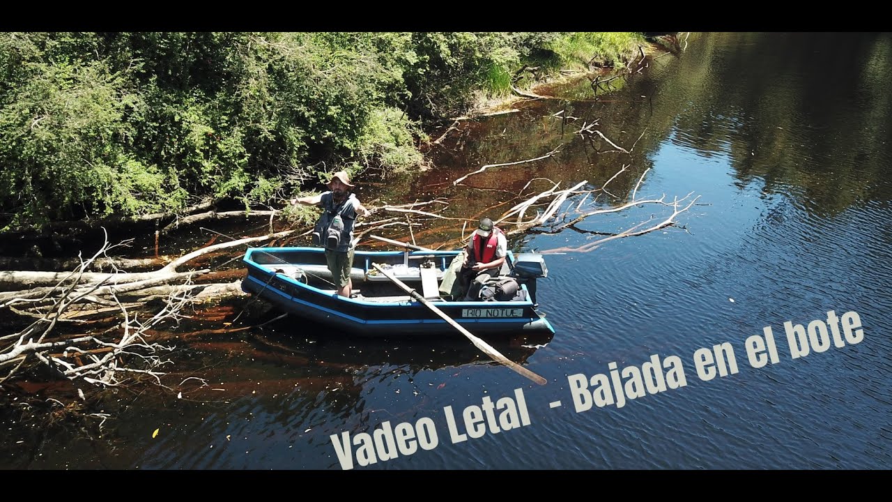 Baja en bote por los ríos de Chiloé.